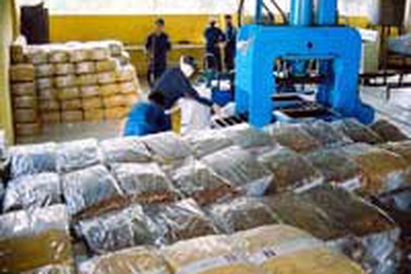 Giá cao su xuất khẩu tiếp tục tăng mạnh