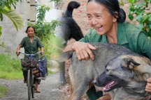 Cụ bà từng 3 nhà, về già tay trắng vẫn nhịn ăn nuôi đàn chó, mèo hoang