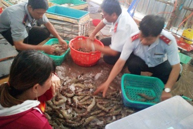 Bắt hơn 18 tấn tôm có chứa tạp chất