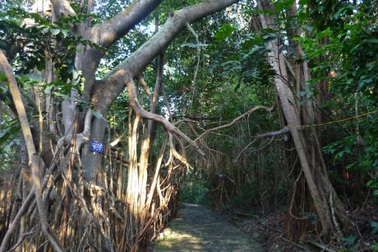 Một lần đến với Hòn Dấu