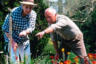 Tại sao hôn nhân hạnh phúc giúp giảm đau khớp?