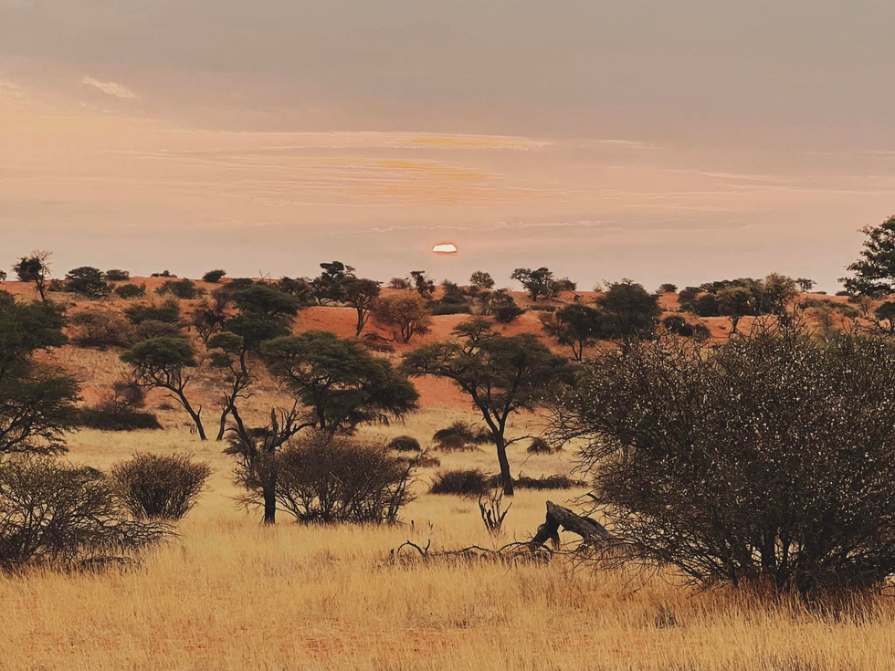 9X Việt chi gần 200 triệu đồng ngắm cây khô ở nghĩa địa độc đáo châu Phi - 2 9X Việt chi gần 200 triệu đồng ngắm cây khô ở nghĩa địa độc đáo châu Phi - 2