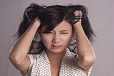 Những điều bạn muốn biết về gàu