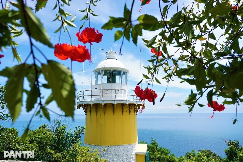 Mắt biển trăm tuổi trên đỉnh Sơn Trà hút khách check-in - 2 Mắt biển trăm tuổi trên đỉnh Sơn Trà hút khách check-in - 2