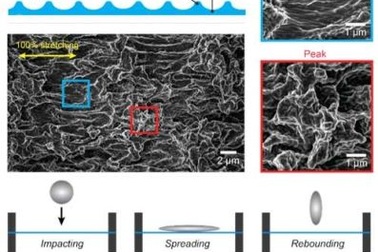 Chế tạo bề mặt co giãn siêu kị nước