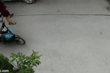 2 tên cướp giật túi xách người phụ nữ gây xôn xao cộng đồng mạng bị bắt