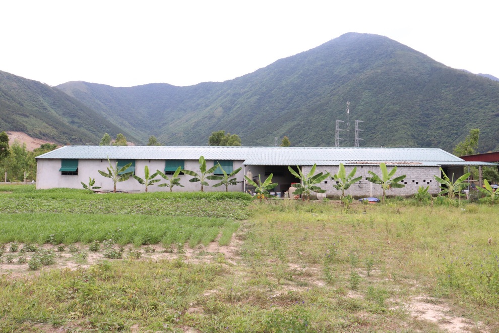 Câu chuyện khởi nghiệp của chàng kỹ sư với 4.000 con cá chình - 4 Câu chuyện khởi nghiệp của chàng kỹ sư với 4.000 con cá chình - 4