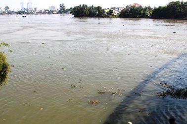 Bộ TN-MT trả lời thông tin nước sông Đồng Nai nhiễm dioxin