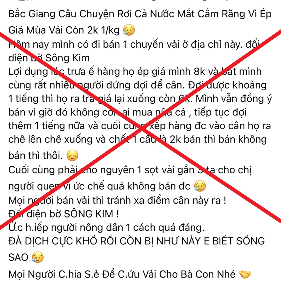 Bắc Giang: Vải thiều bị ép giá xuống 2.000 đồng/kg là không đúng sự thật - 1 Bắc Giang: Vải thiều bị ép giá xuống 2.000 đồng/kg là không đúng sự thật - 1