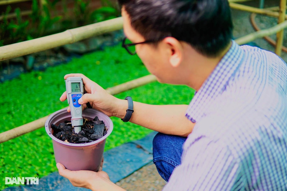 Người nông dân Bình Dương thuần hóa cây lạ cho loại quả 20 triệu đồng/kg - 4 Người nông dân Bình Dương thuần hóa cây lạ cho loại quả 20 triệu đồng/kg - 4