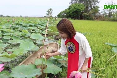 Mê mẩn với cánh đồng hoa sen trên Cao Nguyên