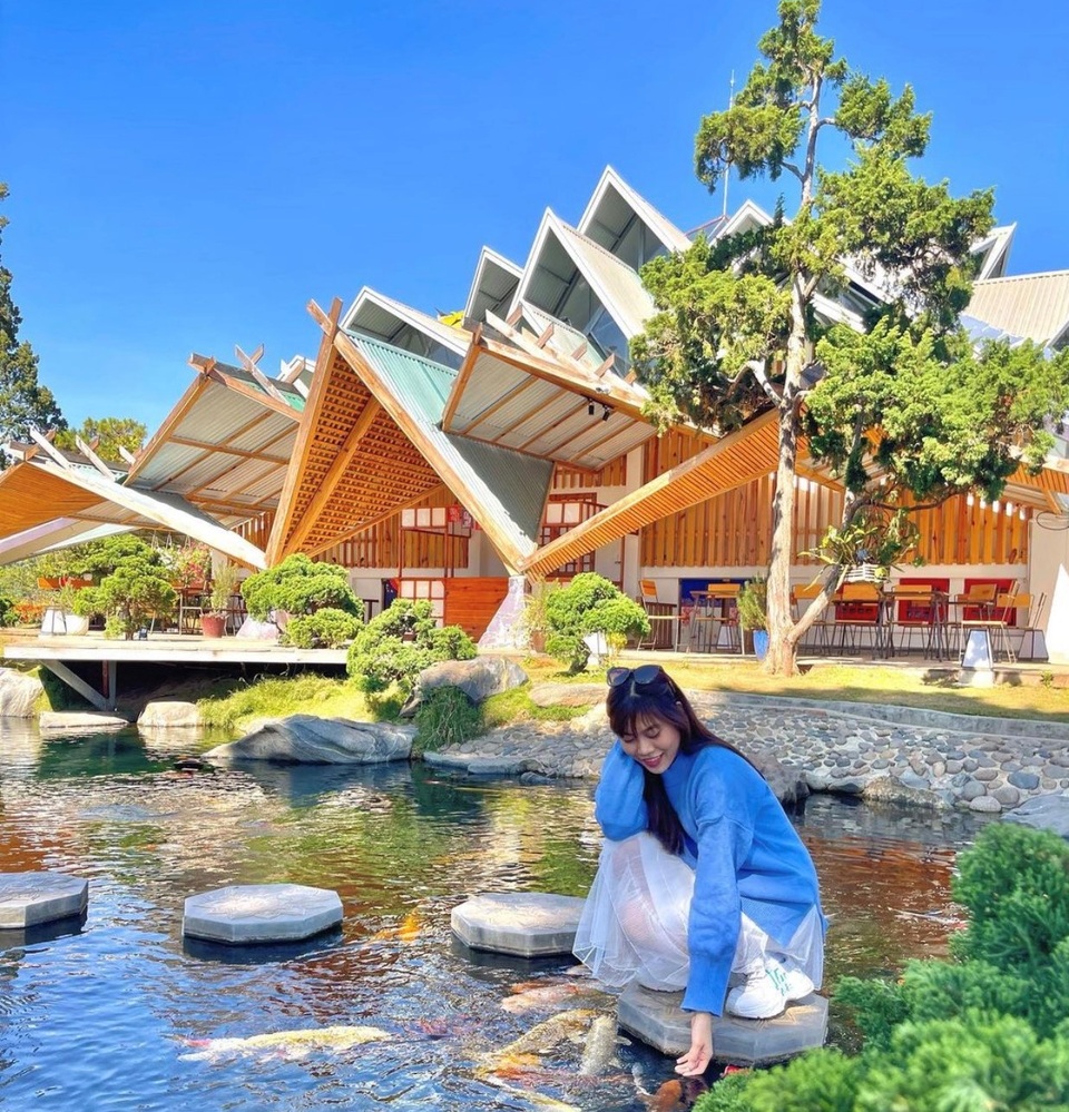 Vừa uống cà phê vừa ngắm cá Koi khủng giữa phố núi Đà Lạt - 5 Vừa uống cà phê vừa ngắm cá Koi khủng giữa phố núi Đà Lạt - 5