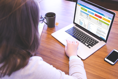 Suno.vn: siêu đơn giản, siêu lợi nhuận