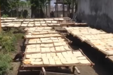 Hãi hùng với công nghệ sản xuất cơm cháy chà bông