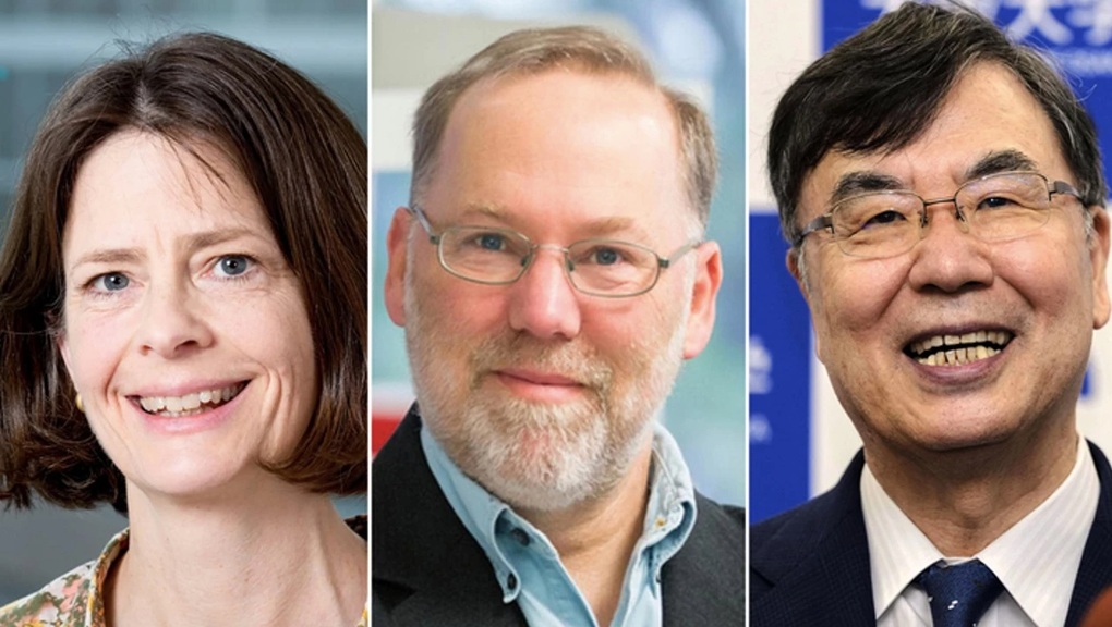 Giải Nobel Y sinh 2025 mở ra hướng mới điều trị ung thư, bệnh tự miễn - 1 Giải Nobel Y sinh 2025 mở ra hướng mới điều trị ung thư, bệnh tự miễn - 1