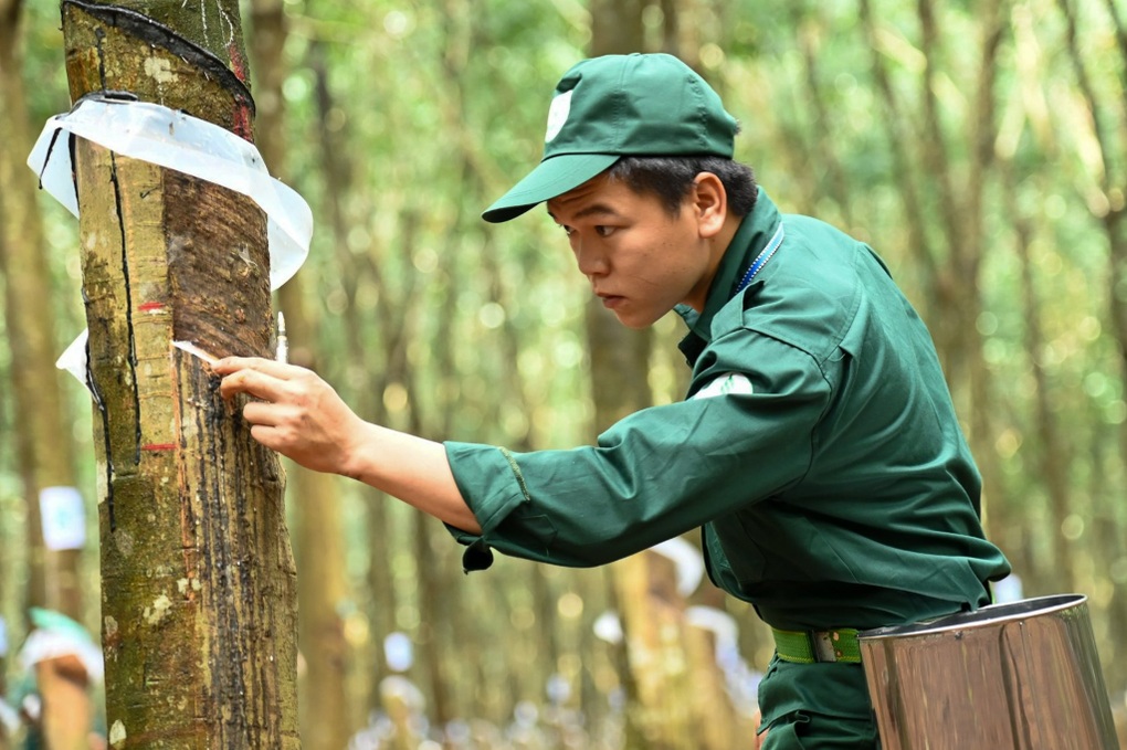 Đóng góp hạn chế, 7 lãnh đạo ngành cao su vẫn nhận lương khủng - 1