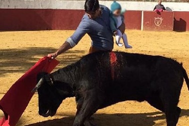 Tranh cãi chuyện bố ôm con 5 tháng tuổi đấu bò tót