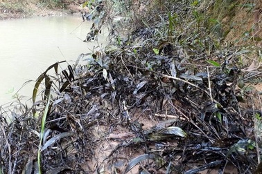 Xử phạt người quản lý trạm trộn để tràn 200 lít dầu thải ra môi trường