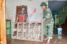 Phú Yên: Khẩn trương giúp dân khắc phục hậu quả bão, lũ…ổn định cuộc sống