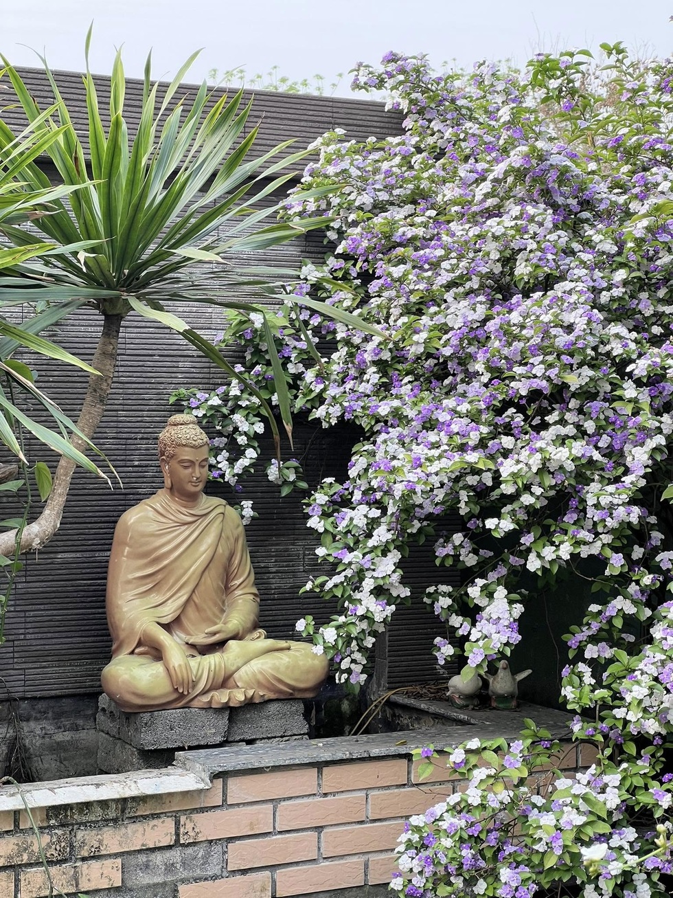 Trốn khói bụi, giám đốc ở Hà Nội về quê làm vườn 3.500m2 ngập hoa trái - 4