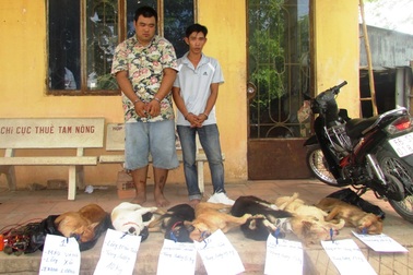 Bắt 2 “cẩu tặc” trên đường đi tiêu thụ chó