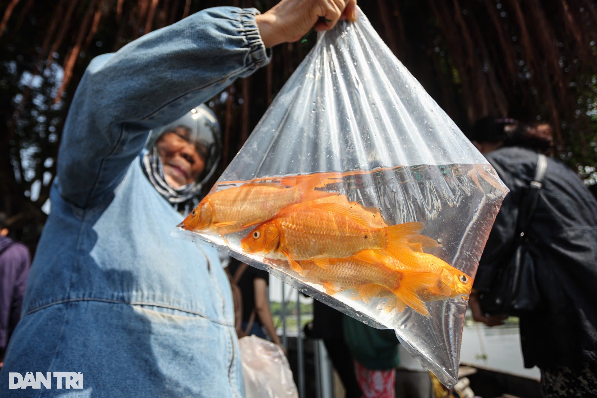 Người dân đi ghe thả cá chép, tiễn ông Táo giữa sông Sài Gòn - 5 Người dân đi ghe thả cá chép, tiễn ông Táo giữa sông Sài Gòn - 5