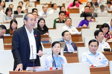 Đại biểu Quốc hội nghi vụ việc bị “chìm xuồng”, Phó Thủ tướng đề nghị… chờ