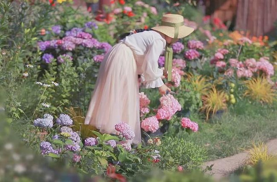 Cuộc sống như mơ của cô gái bỏ bộn bề thành phố về quê làm vườn trồng hoa - 1 Cuộc sống như mơ của cô gái bỏ bộn bề thành phố về quê làm vườn trồng hoa - 1