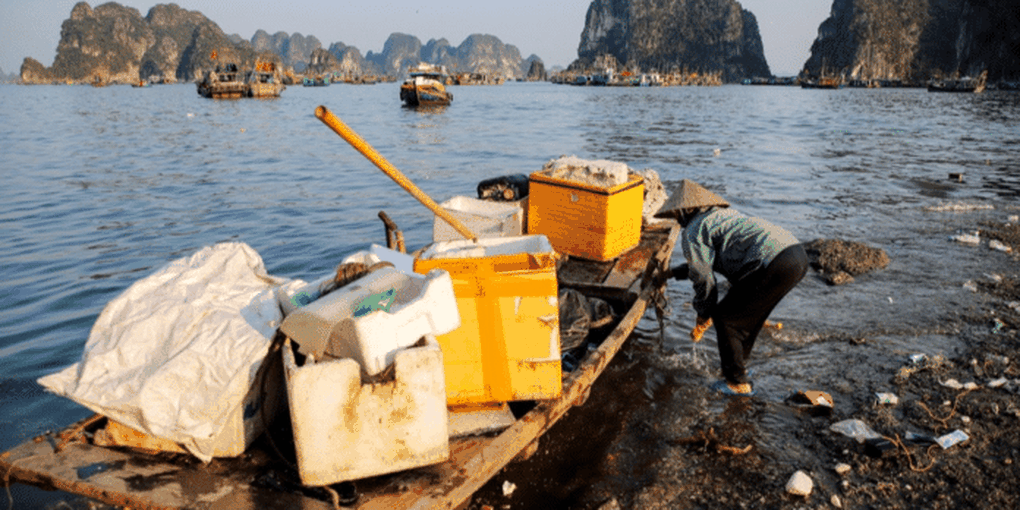 Báo nước ngoài phản ánh Hạ Long đẹp nhưng đầy rác khiến du khách tiếc nuối - 1 Báo nước ngoài phản ánh Hạ Long đẹp nhưng đầy rác khiến du khách tiếc nuối - 1