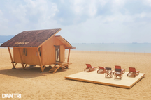 Mỗi năm, ngành gỗ Việt Nam xuất khẩu trung bình trên 10 tỷ USD