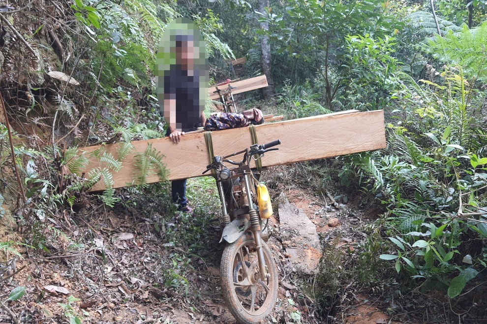Rừng bị phá tan hoang, lâm tặc nối đuôi nhau ầm ầm xuống núi - 1 Rừng bị phá tan hoang, lâm tặc nối đuôi nhau ầm ầm xuống núi - 1