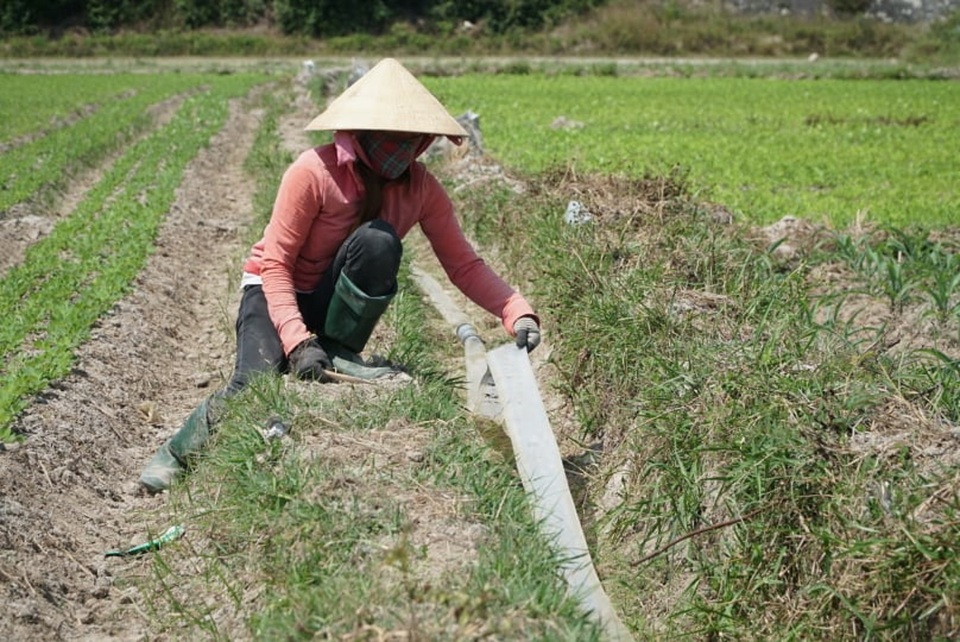 Nắng cháy da, ruộng khô, hồ cạn! - 3 Nắng cháy da, ruộng khô, hồ cạn! - 3