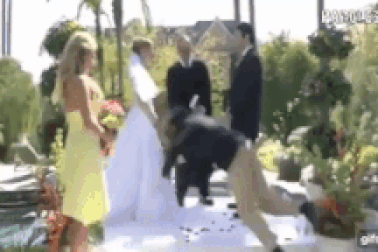 Cười đau ruột với những pha "vồ ếch" khó tin trong đám cưới