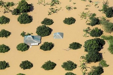 Philippines: Bão Nesat vừa qua, bão Nalgae lại tới