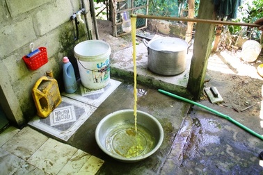 Phát hiện sán xơ mít “khủng” dài 12m trong ruột người