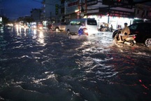 Sắp tới, TPHCM có thể không đầu tư xe công mà chuyển sang thuê xe