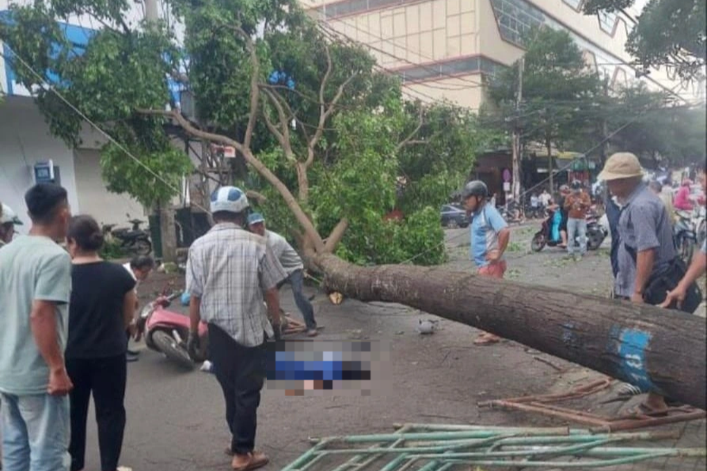 Người dân ùa ra đường cứu cô gái đi xe máy bị cây lớn đổ đè ngang người - 3 Người dân ùa ra đường cứu cô gái đi xe máy bị cây lớn đổ đè ngang người - 3