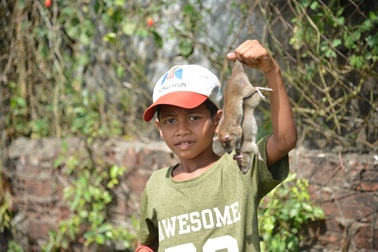 Thú vui đuổi bắt chuột trên ruộng đồng ở miền Tây