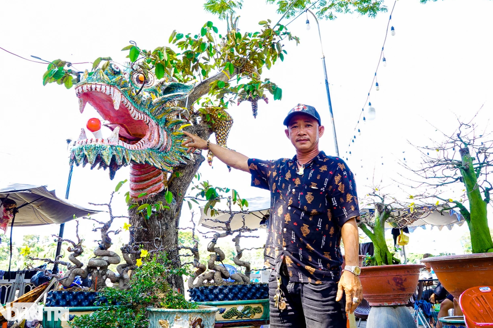 Mai trực thăng, vú sữa dáng rồng, ổi 200 tuổi khuấy đảo chợ hoa miền Tây - 9 Mai trực thăng, vú sữa dáng rồng, ổi 200 tuổi khuấy đảo chợ hoa miền Tây - 9