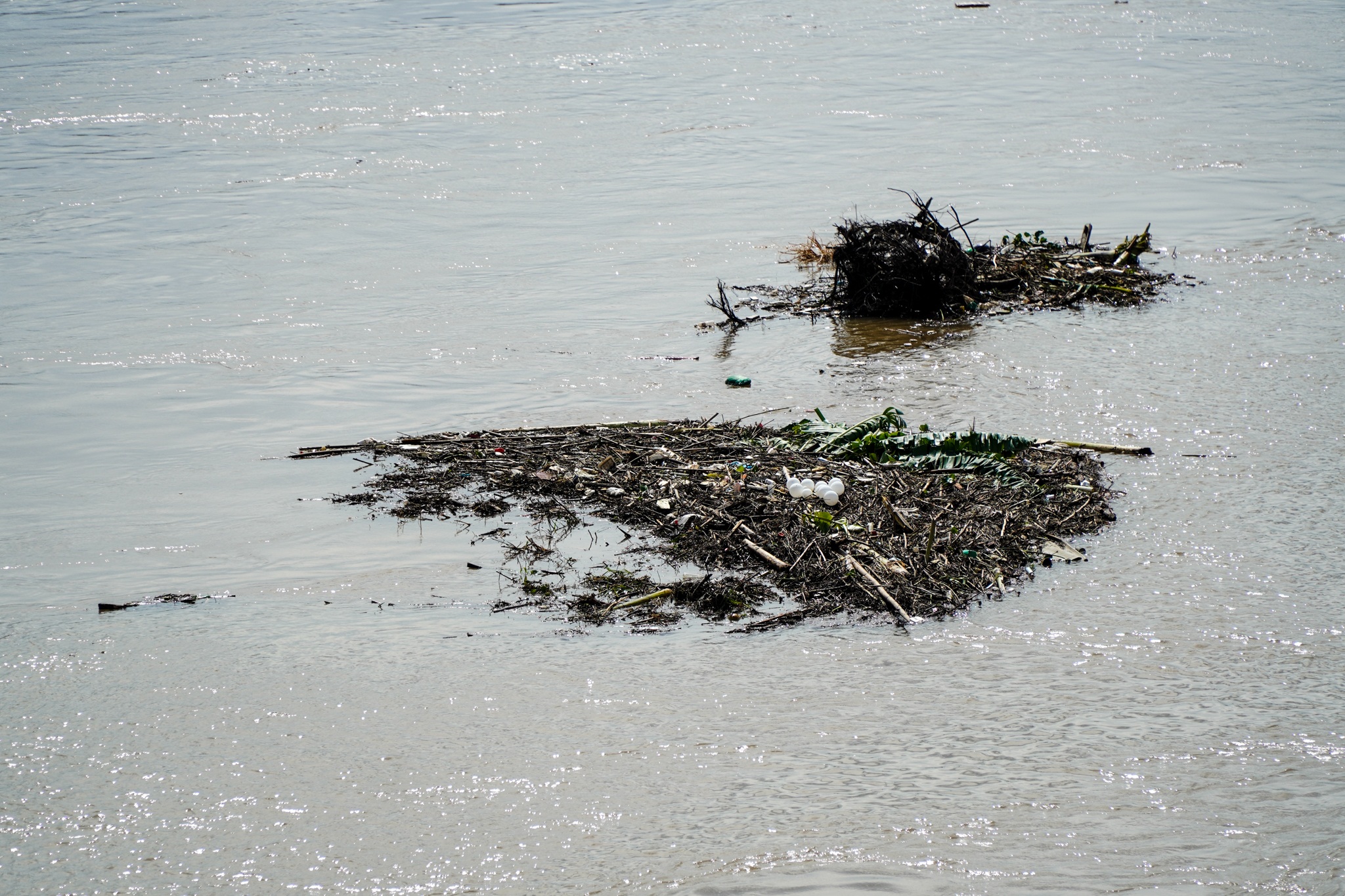 Cảnh hồ thủy điện xả lũ lớn, nước cuộn sóng nhấn chìm bãi giữa sông Hồng - 19 Cảnh hồ thủy điện xả lũ lớn, nước cuộn sóng nhấn chìm bãi giữa sông Hồng - 19