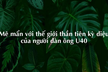Mê mẩn với thế giới thần tiên kỳ diệu của người đàn ông U40