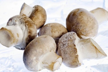 Có nên bảo quản nấm bằng cách đông lạnh?