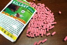 Em tử vong, anh nguy kịch vì ăn nhầm thuốc diệt chuột