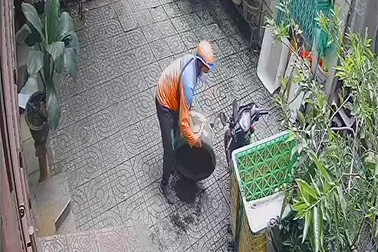 Shipper tìm cách lấy cắp chậu cây nhưng bất thành