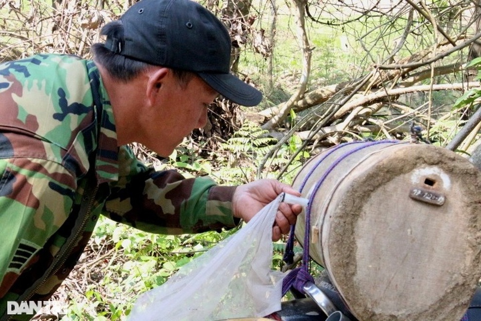 Thợ săn ong sứ nghe tiếng vỗ cánh, chờ tìm chiến binh - 11 Thợ săn ong sứ nghe tiếng vỗ cánh, chờ tìm chiến binh - 11