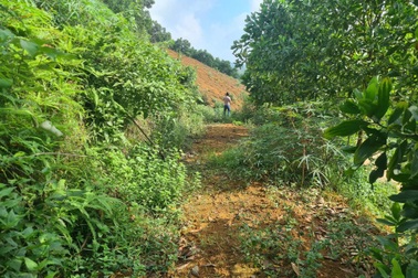 Đất khai hoang mua 1,8 triệu đồng/m2 giờ bán nửa giá vẫn ế