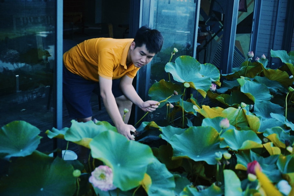 Hồ sen ngát hương tại căn penthouse tuyệt đẹp của vợ chồng trẻ Hà Nội - 4 Hồ sen ngát hương tại căn penthouse tuyệt đẹp của vợ chồng trẻ Hà Nội - 4