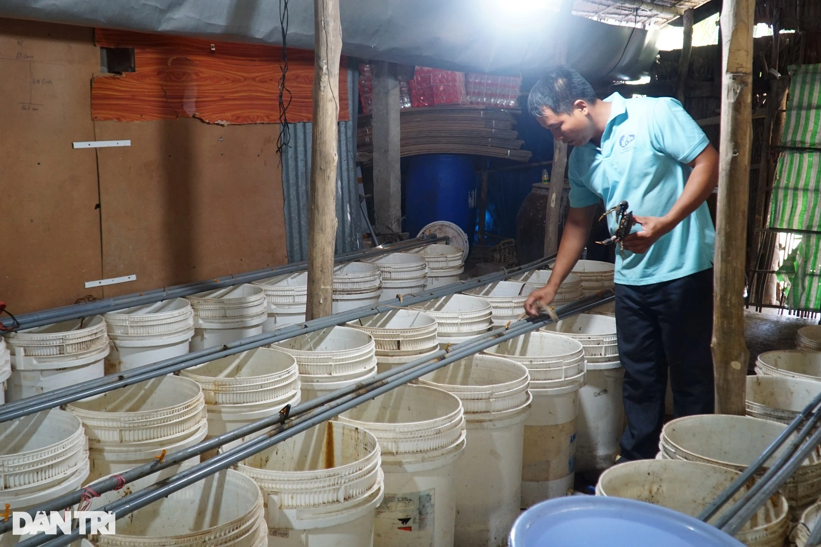 Bí quyết soi mu cua giúp thầy giáo Bến Tre kiếm tiền tỷ mỗi năm - 2 Bí quyết soi mu cua giúp thầy giáo Bến Tre kiếm tiền tỷ mỗi năm - 2