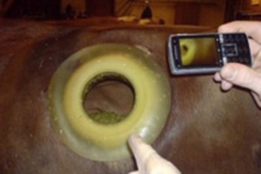 Khoét lỗ trên... mình bò 