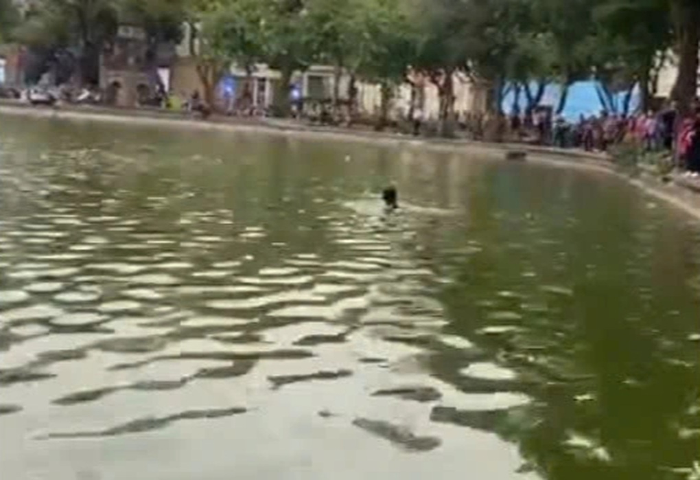 Giao công an xác minh vụ cô gái nhảy xuống hồ Hoàn Kiếm tử vong - 1